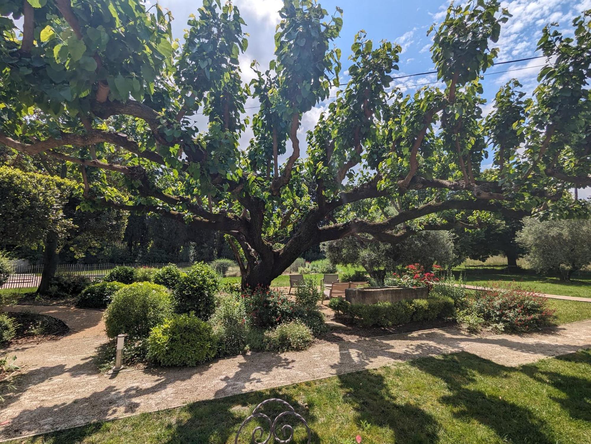 מלון ברבנטנה Mas De La Gramillere מראה חיצוני תמונה