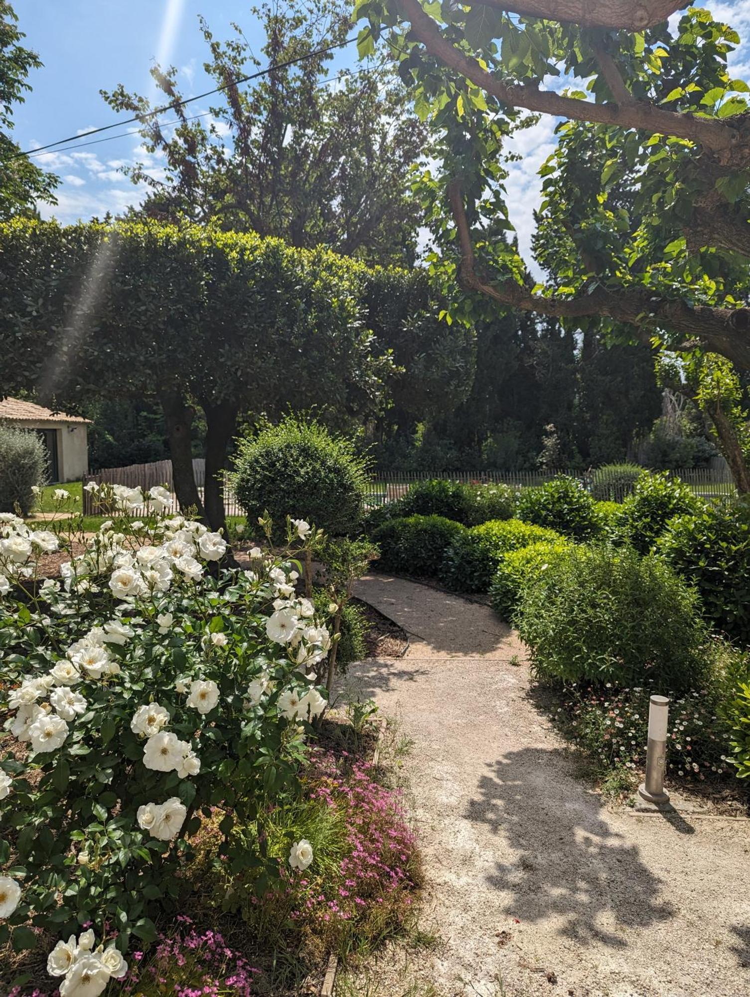 מלון ברבנטנה Mas De La Gramillere מראה חיצוני תמונה